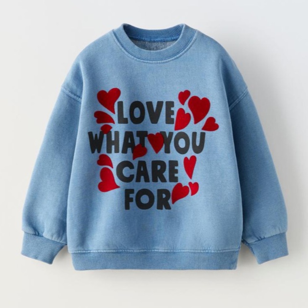 NWT Zara organic cotton blend sweatshirt